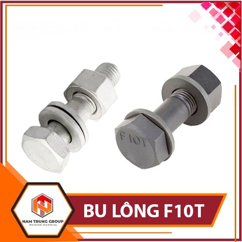 BU LÔNG F10T