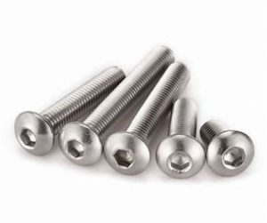 bulong-luc-giac-chim-dau-du