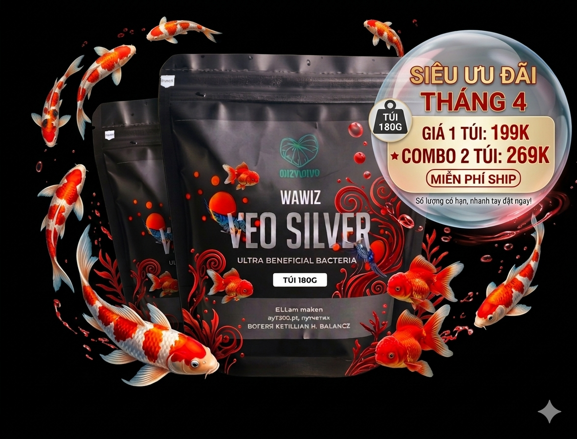 VEO SILVER
